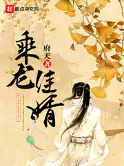 乘龙佳婿乘龙佳婿