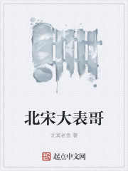 北宋大表哥北宋大表哥