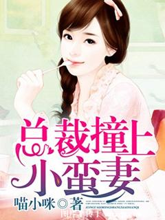 总裁撞上小蛮妻总裁撞上小蛮妻