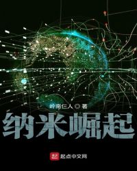 纳米崛起纳米崛起