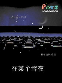 在某个雪夜在某个雪夜